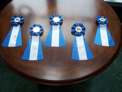 RIBBONS