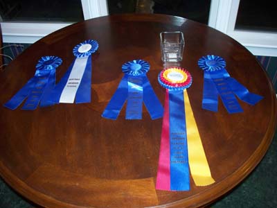 RIBBONS