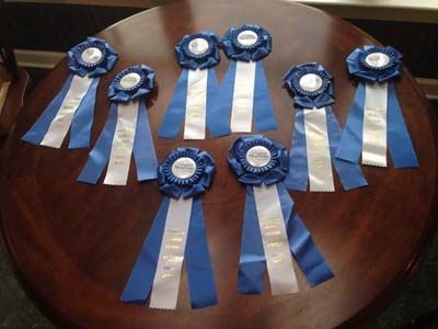 RIBBONS