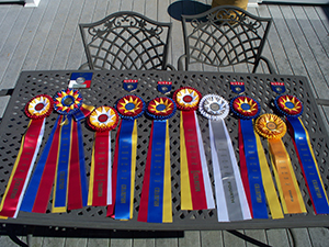 USEF 2015 Ribbons
