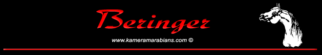 Beringer
