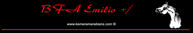 BFA Emilio +/ 