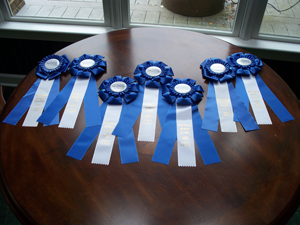 Blue Ridge Arabian Classic Show 2013 RIBBONS