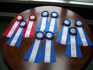 Heritage Arabian Classic 2013 RIBBONS