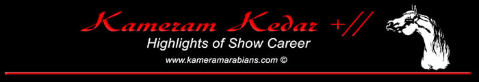 Kedar Show Career