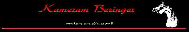 Kameram Beringer