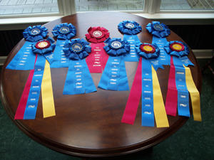 NCAHA / ODAHA Combined Arabian Show 2013 RIBBONS