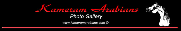 PhotoGallery