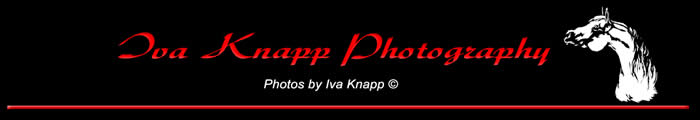 Photos by Iva Knapp