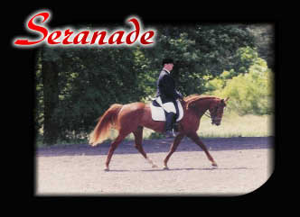 Seranade Gallery