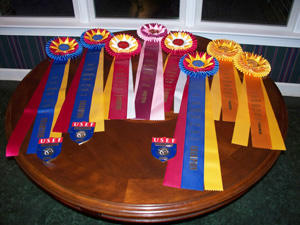2012 USEF Ribbons