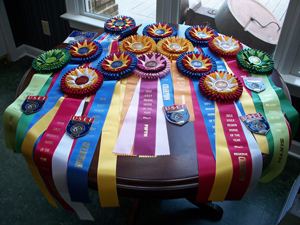 USEF 2013 Ribbons