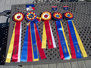 USEF 2015 Emilio