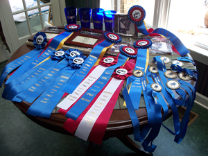 Shenandoah Valley Classic awards